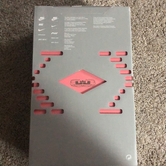 Used Lebron 20s - Picture 5 of 13